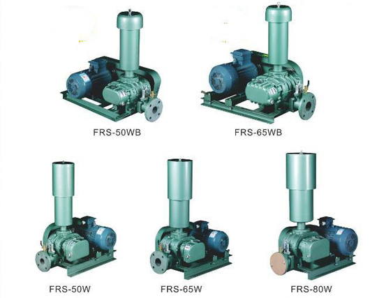 LZSR系列罗茨鼓风机